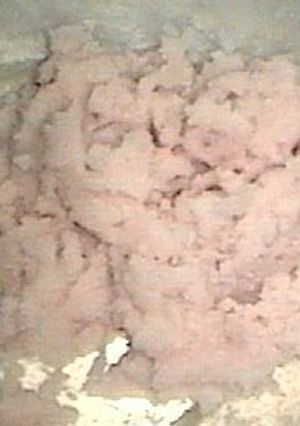 じゃがいも桜餡-レシピのメイン写真