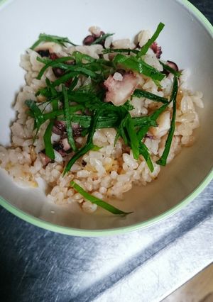 タコ飯-レシピのメイン写真
