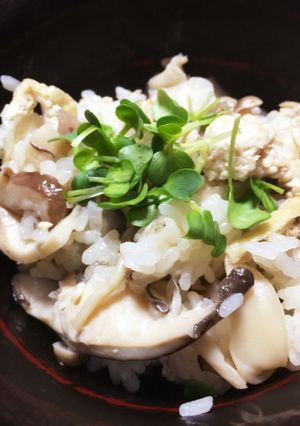 秋!はぢめました!きのこご飯-レシピのメイン写真