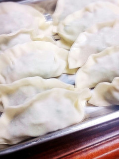 苦味少なめ☆シンプルゴーヤ餃子-レシピのメイン写真