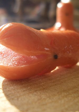 カバウィンナー-レシピのメイン写真