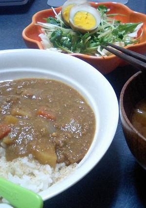 ぉからカレー@和風-レシピのメイン写真