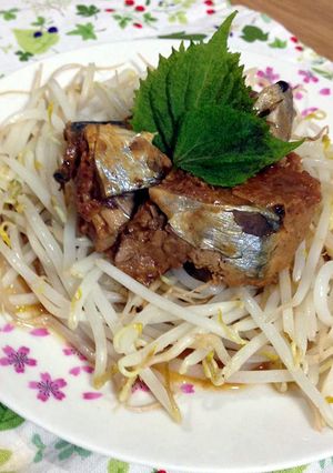 サバの味噌煮缶のモヤシ添え-レシピのメイン写真