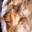 コンビニのサラダチキン風★