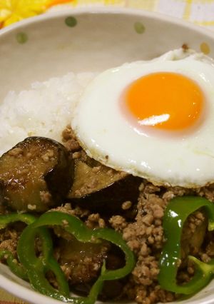 簡単♡挽肉と茄子のカレー風味がウマウマ丼-レシピのメイン写真