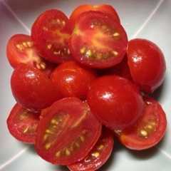 รูปของ ミニトマトの簡単マリネ