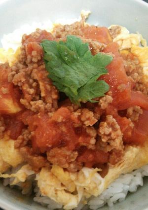 トマトとひき肉でとまひき丼♪-レシピのメイン写真