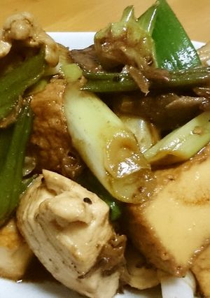 ねぎと厚揚げと鶏肉のコク旨炒め-レシピのメイン写真