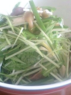 水菜と鶏ささみの簡単サラダ-レシピのメイン写真
