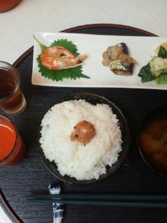 血管プラークダイエット食477(新物)-レシピのメイン写真
