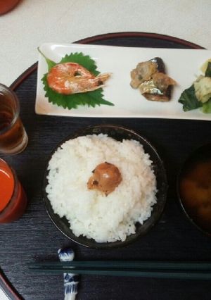 血管プラークダイエット食477（新物）-レシピのメイン写真