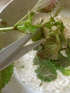 最速の紫蘇の麦粥-レシピのメイン写真