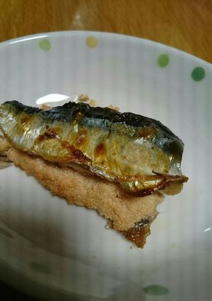 パクパクいけちゃう秋刀魚めんたい-レシピのメイン写真