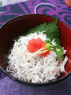 しらす。明太子丼-レシピのメイン写真