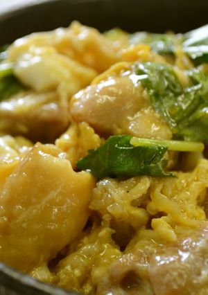 玉ねぎなしでも美味♡切り干し大根親子丼-レシピのメイン写真