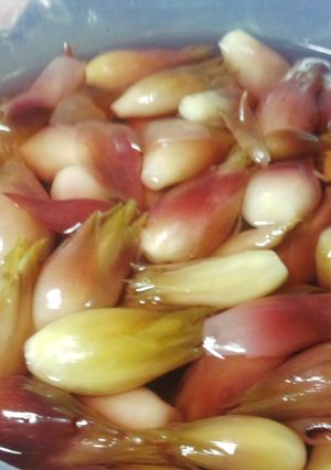 茗荷(みょうが)の甘酢漬-レシピのメイン写真
