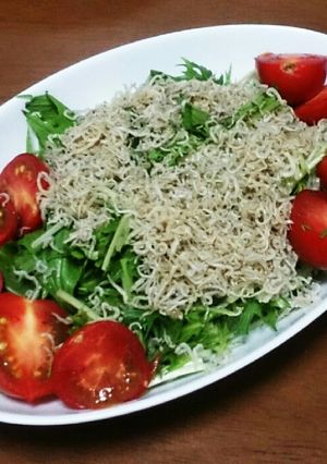 ♥カリカリちりめん水菜のサラダ♥-レシピのメイン写真