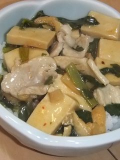 高野豆腐のあんかけ丼-レシピのメイン写真