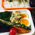 今日のお弁当