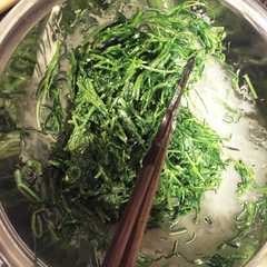 A picture of 簡単！おかひじきの醤油マヨネーズ和え.