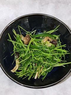 豆苗とピーマンときのこの香味中華ナムル風-レシピのメイン写真