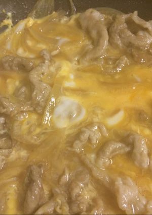豚コマで柔らかお肉の他人丼 覚書-レシピのメイン写真