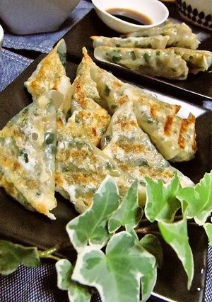 節約♪高野豆腐とこんにゃくのヘルシー餃子-レシピのメイン写真
