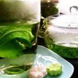 和風生ハーブtea~【大葉tea】