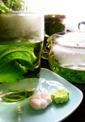 和風生ハーブtea~【大葉tea】-レシピのメイン写真