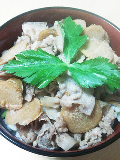 簡単おいしい~豚しょうが丼♪-レシピのメイン写真