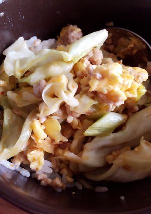 ひき肉の油だけ☆ピリ辛丼☆-レシピのメイン写真