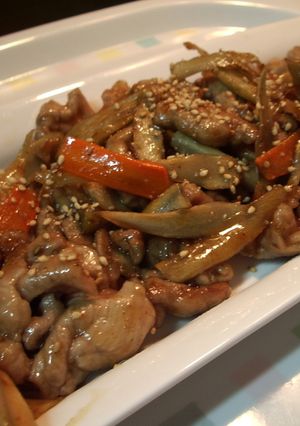 翌朝快腸！豚肉とごぼうのきんぴら-レシピのメイン写真