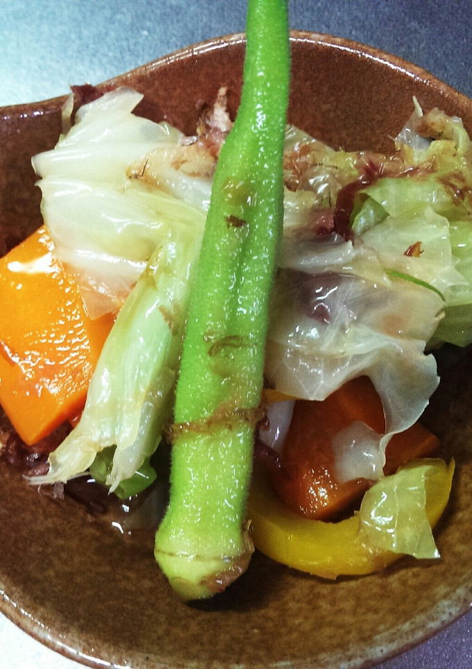 ひんやり♪今が旬の夏野菜4色彩のおひたし-レシピのメイン写真