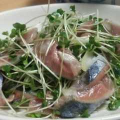 秋刀魚のタタキ-レシピのメイン写真