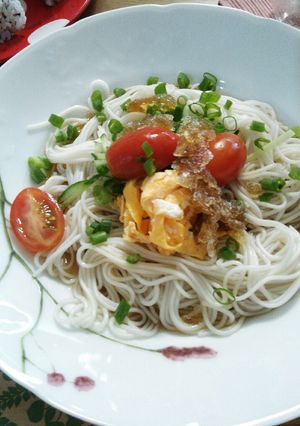 そうめんのカキ氷めんつゆ乗せ-レシピのメイン写真