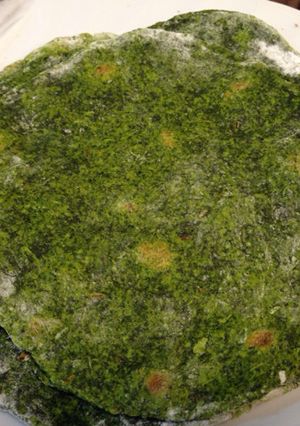 ほうれん草のチャパティ(トルティーヤ)-レシピのメイン写真