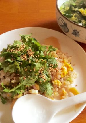 レンチンで楽々 シンプル卵炒飯-レシピのメイン写真