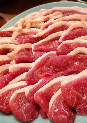 鴨鍋！焼きネギ甘い〆は南蛮そばうどん？！-レシピのメイン写真