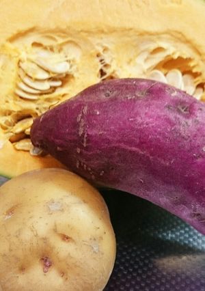 【離乳食】根菜のペースト【初期から】-レシピのメイン写真