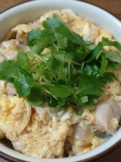 フライパンで3分15秒 親子丼-レシピのメイン写真