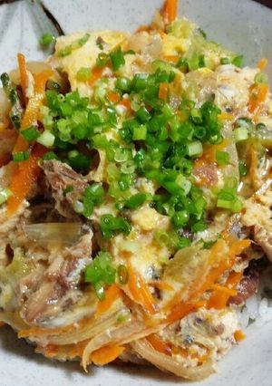 サバ缶と残り野菜で簡単手抜き節約丼♪-レシピのメイン写真