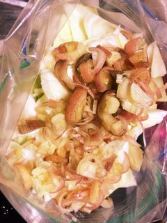 簡単浅漬けサラダ-レシピのメイン写真
