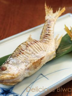 ハスの塩焼き-レシピのメイン写真