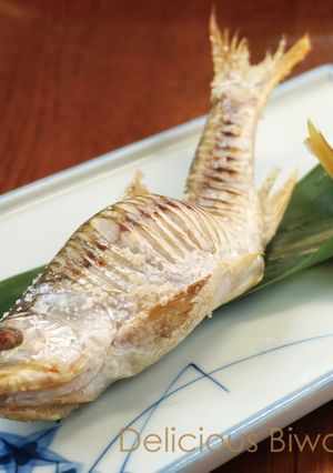 ハスの塩焼き-レシピのメイン写真