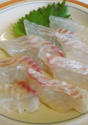 ヘダイの刺身-レシピのメイン写真
