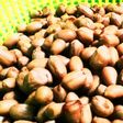 ビールに合う~ほくほく生の落花生塩ゆで