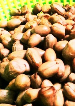 ビールに合う~ほくほく生の落花生塩ゆで-レシピのメイン写真