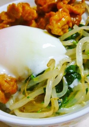 【冷蔵庫一掃】処分丼-レシピのメイン写真