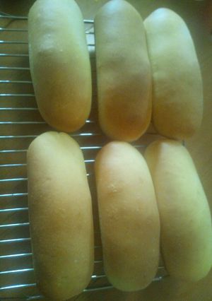 手捏ねコッペパン-レシピのメイン写真