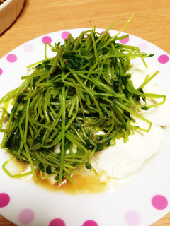 豆苗のナムルのせ冷奴♡ごま油の香り-レシピのメイン写真